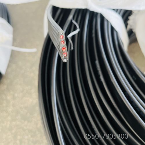 ÌØÖÖµçÀÂ.98.jpg ÌØÖÖµçÀÂ.98.jpg