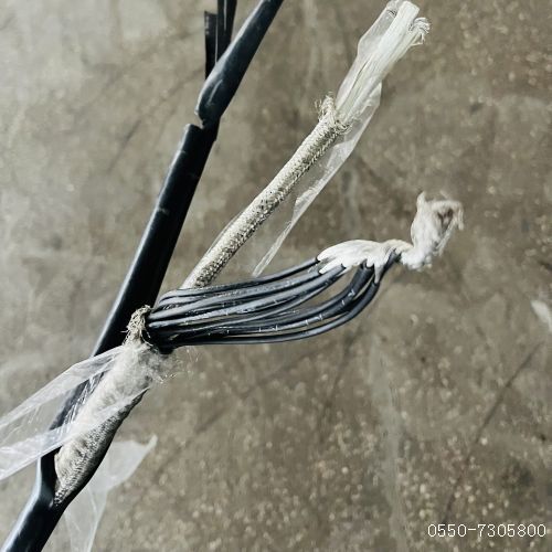 ÌØÖÖµçÀ³§¼Ò9.jpg ÌØÖÖµçÀ³§¼Ò9.jpg