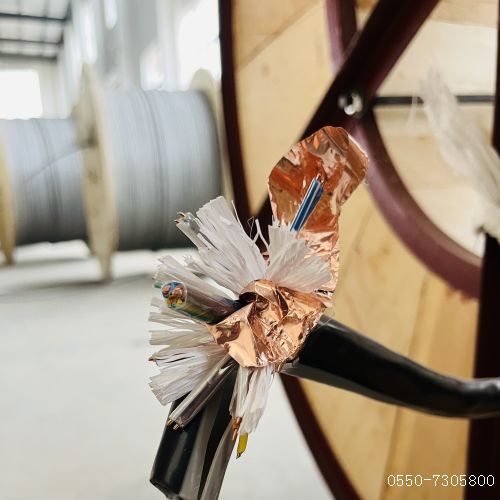 ÌØÖÖµçÀ³§¼Ò112.jpg ÌØÖÖµçÀ³§¼Ò112.jpg