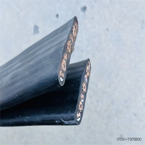 ÌØÖÖµçÀ³§¼Ò309.jpg ÌØÖÖµçÀ³§¼Ò309.jpg