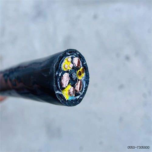 ÌØÖÖµçÀ³§¼Ò230.jpg ÌØÖÖµçÀ³§¼Ò230.jpg