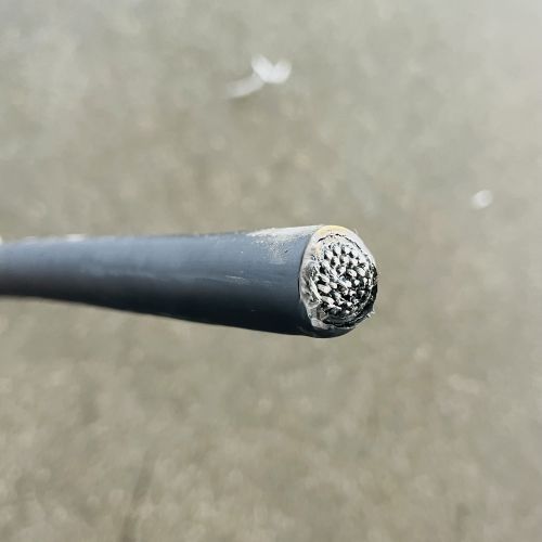 IMG_4885.jpg IMG_4885.jpg