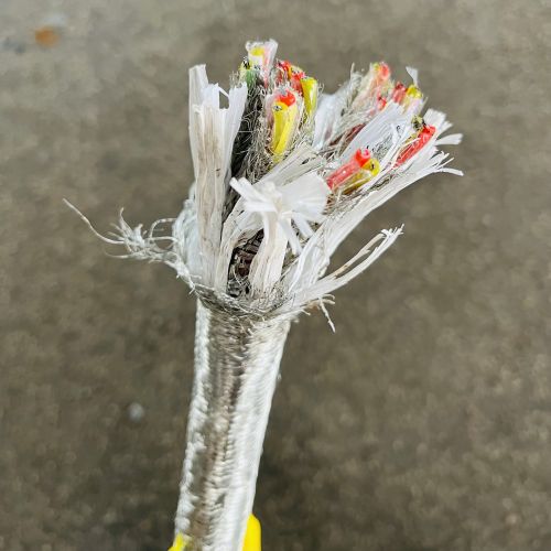 IMG_6498.jpg IMG_6498.jpg