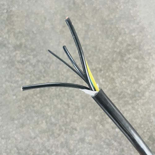 IMG_5435.jpg IMG_5435.jpg