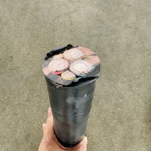 IMG_1866.jpg IMG_1866.jpg