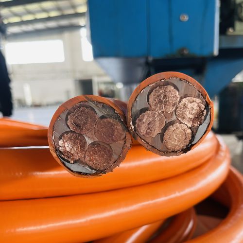 IMG_0097.jpg IMG_0097.jpg