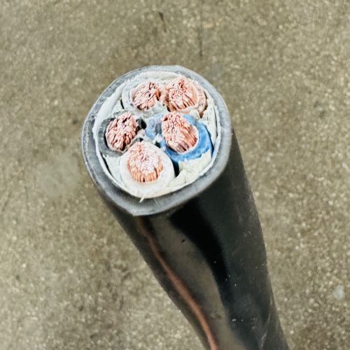 IMG_2317.jpg IMG_2317.jpg