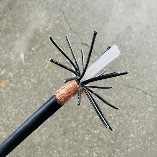 IMG_3319.jpg IMG_3319.jpg