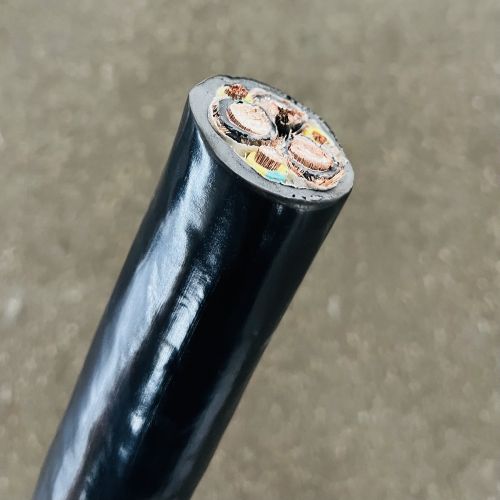 IMG_3648.jpg IMG_3648.jpg