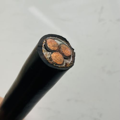 IMG_3102.jpg IMG_3102.jpg