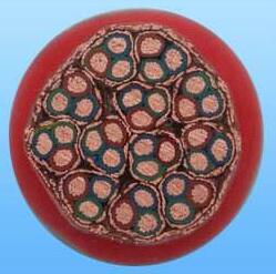 918博天堂(�й���)�ٷ���վ