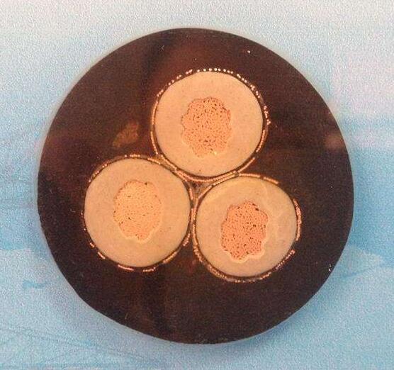 918博天堂(й)ٷվ