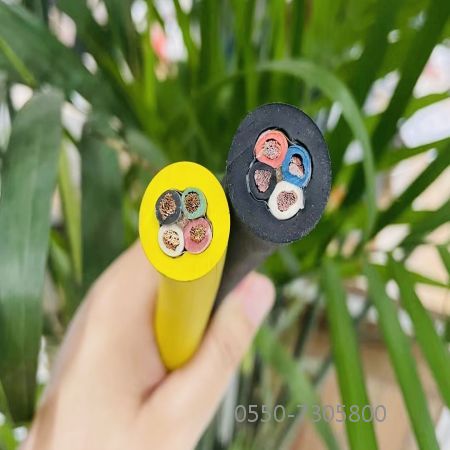 918博天堂(й)ٷվ