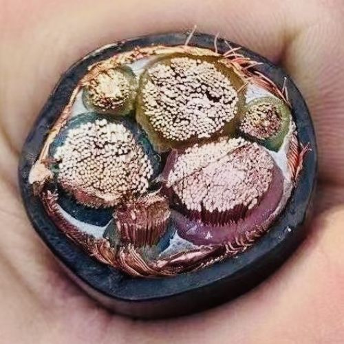 918博天堂(й)ٷվ