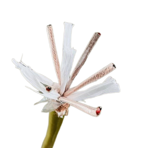 918博天堂(й)ٷվ