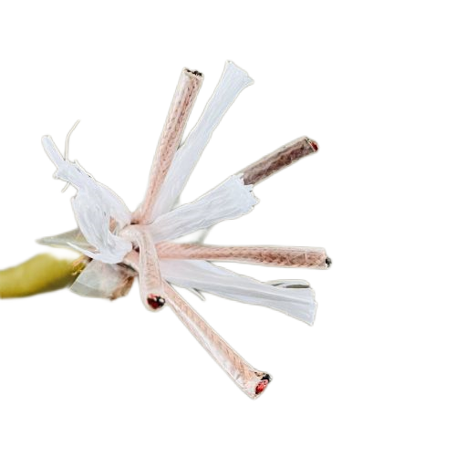 918博天堂(й)ٷվ