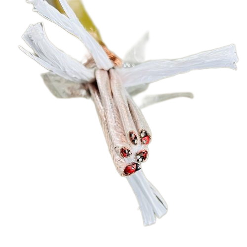 918博天堂(й)ٷվ