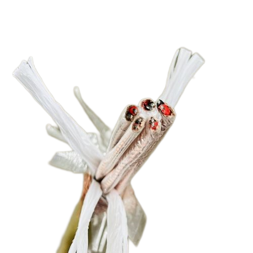 918博天堂(й)ٷվ