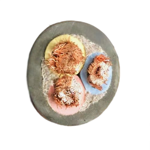 918博天堂(中国区)官方网站