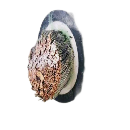 918博天堂(й)ٷվ