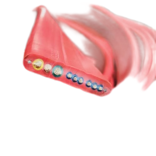 918博天堂(中国区)官方网站