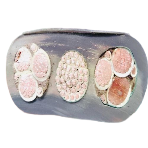 918博天堂(й)ٷվ