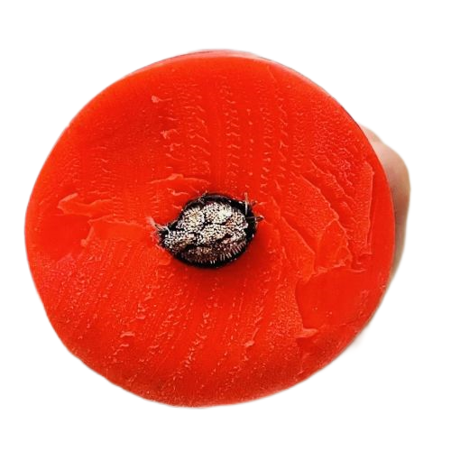 918博天堂(й)ٷվ