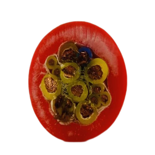 918博天堂(й)ٷվ